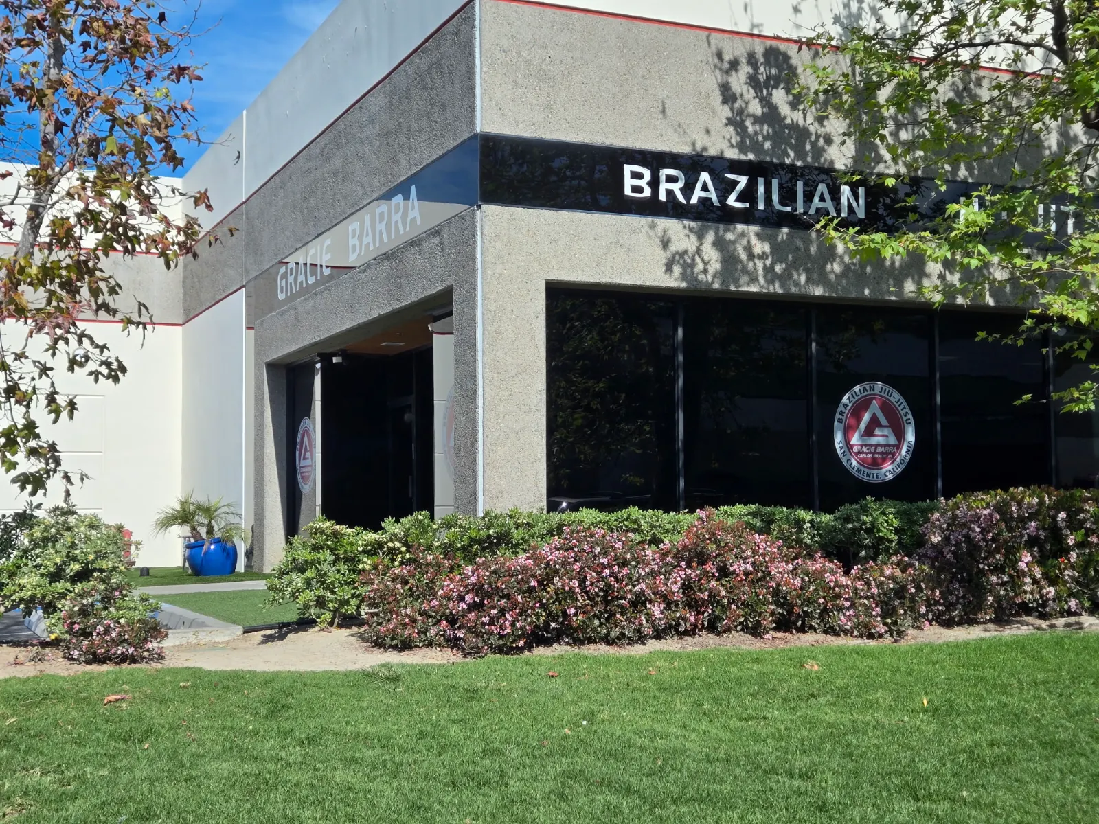 Brazilian Jiu-Jitsu